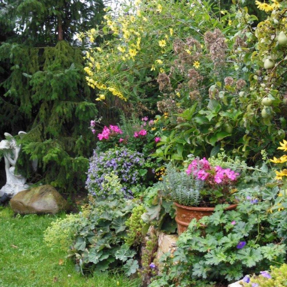 Garten Und Landschaftsbau Gartengestaltung Kornweibel Neuwied